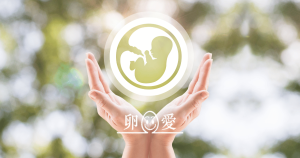 台灣捐卵, 國際冷凍卵子運輸安全嗎?解析多元成家卵子輸出美國的流程與保障