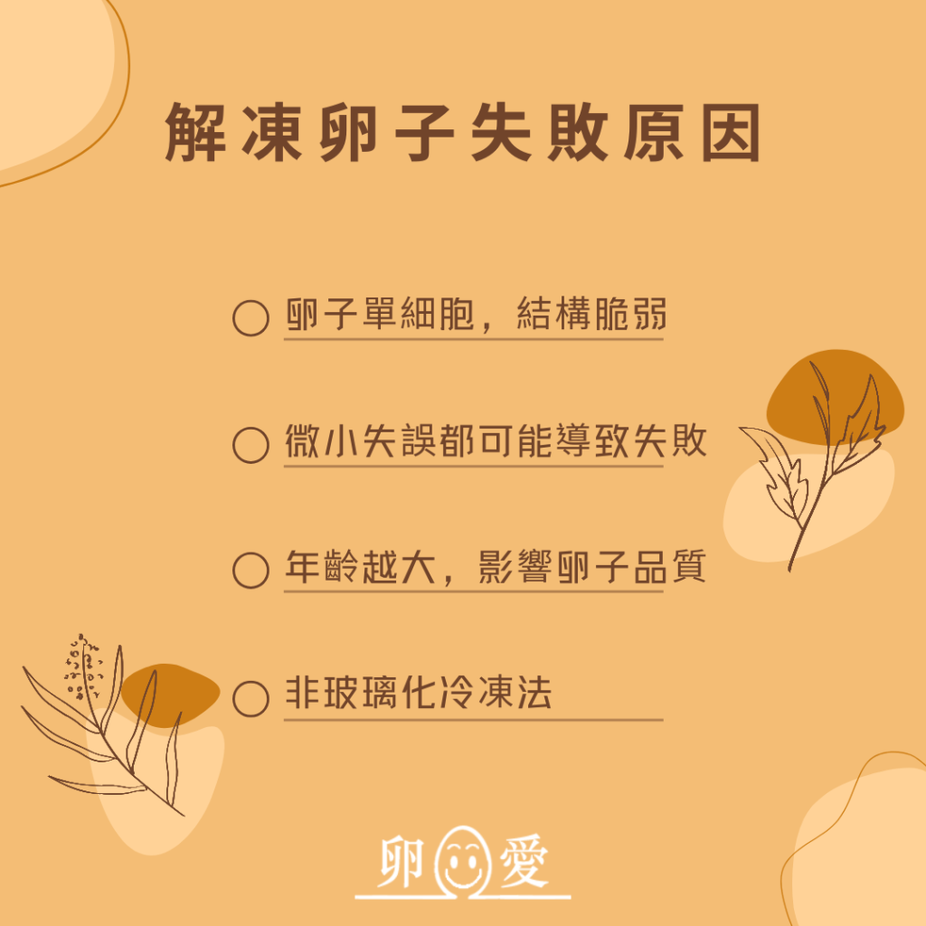 解凍卵子