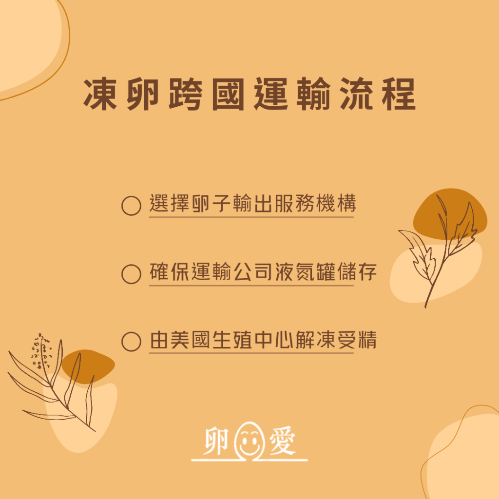 解凍卵子