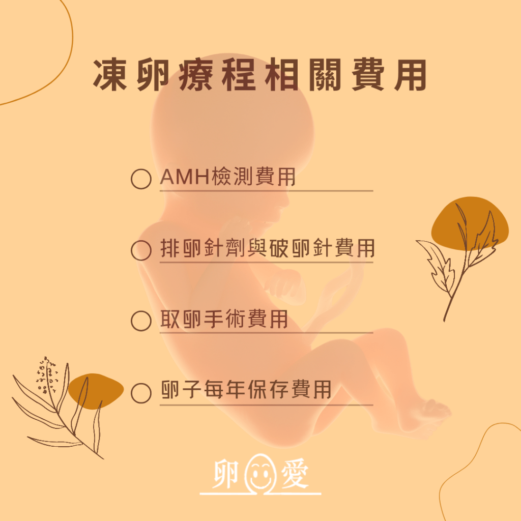 凍卵費用